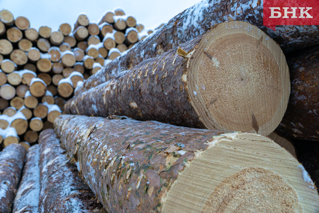 Из Коми в Турцию, Азербайджан и Ирак контрабандой вывезли лес на 55 миллионов рублей