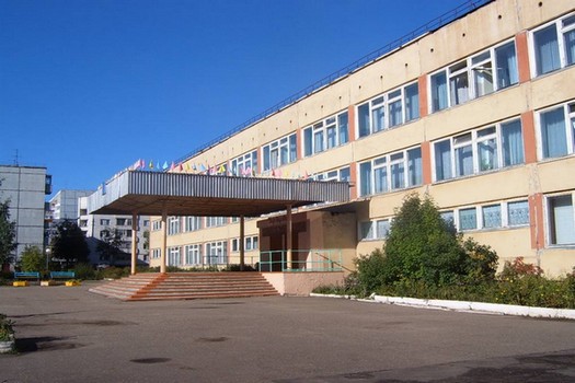 Отчеты о деятельности муниципальных учреждений Сыктывкара за 2015 год  