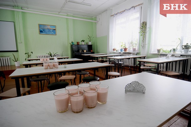 Общественники просили проверить организацию школьного питания в Сыктывкаре