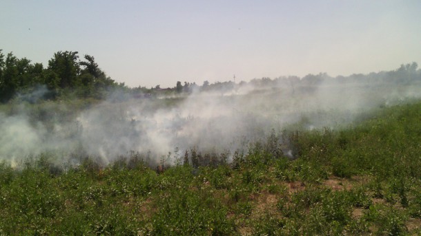 В Коми нарастает пожарная опасность