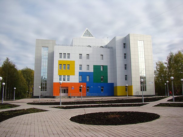 Отчеты о деятельности муниципальных учреждений Сыктывкара за 2015 год