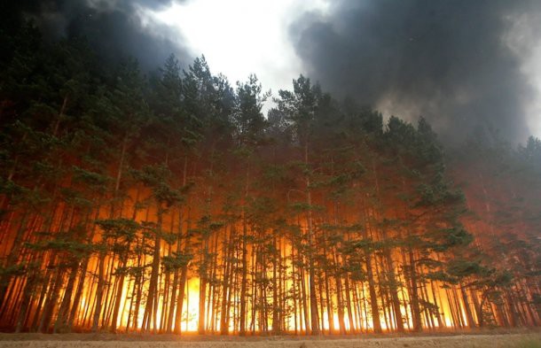 Грозы стали причиной восьми лесных пожаров в Коми