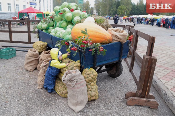 Аграрии Коми в очередной раз привезли свой урожай на Стефановскую площадь